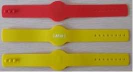RFID�轺���